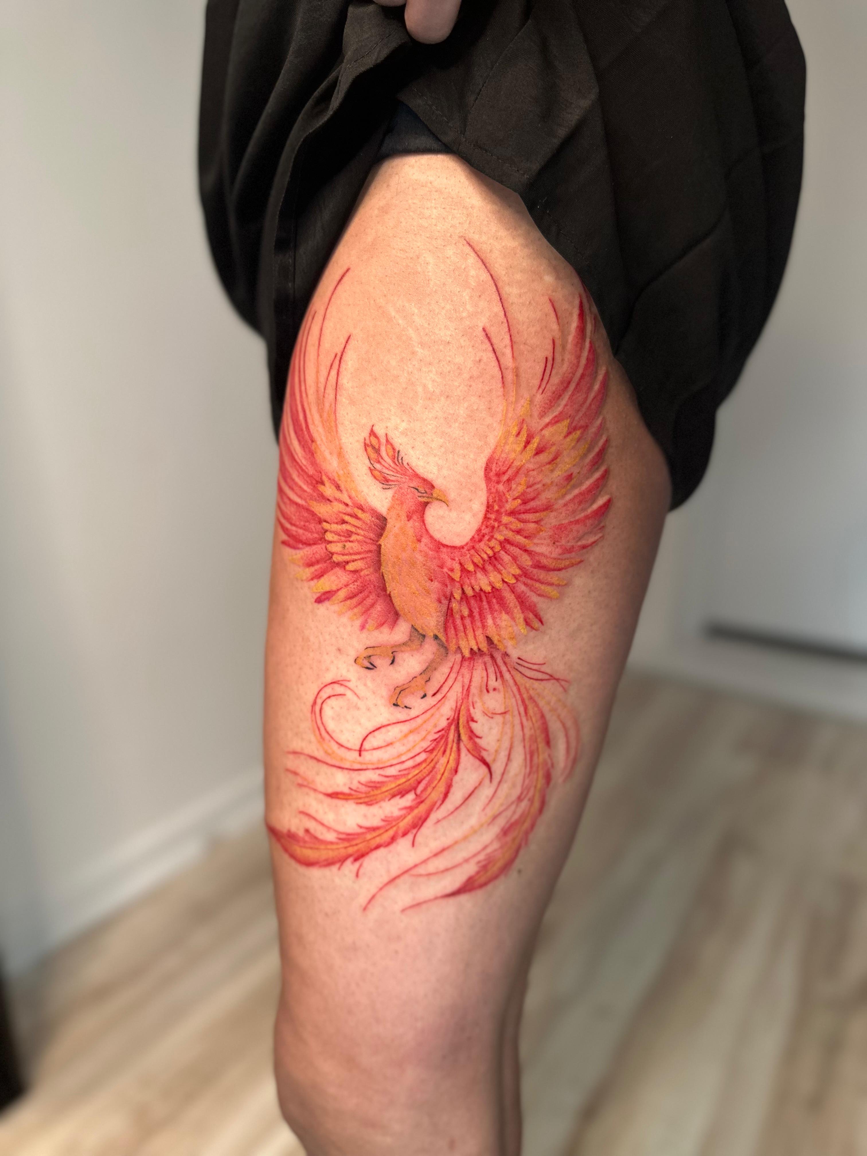 Phénix Aquarelle